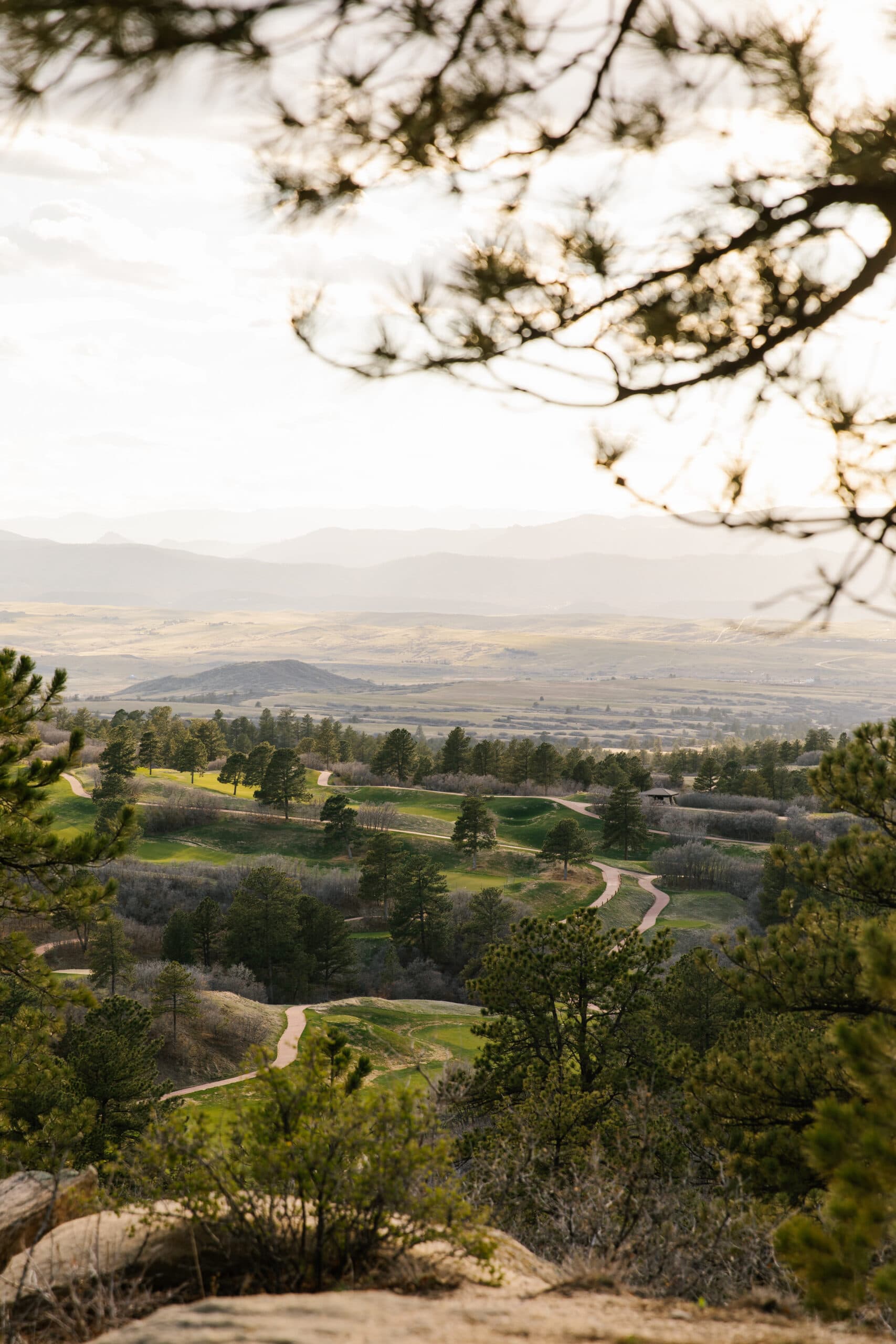 Alpine Mountain Views